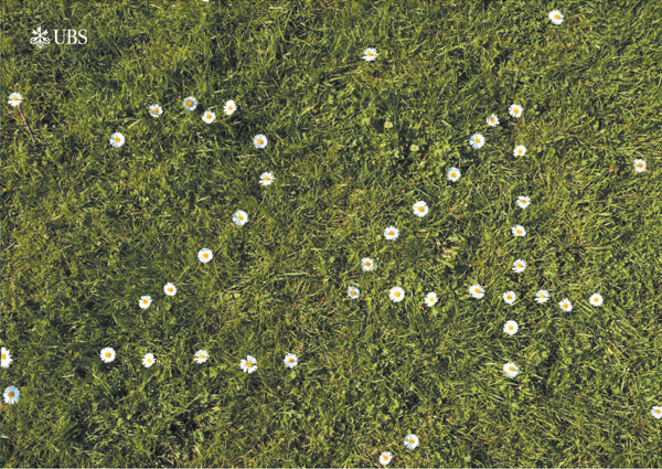 Carrow Design, Packaging and Graphic Design on Platts Eyot island Hampton